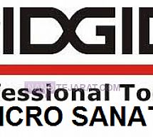 ریجید ریجید